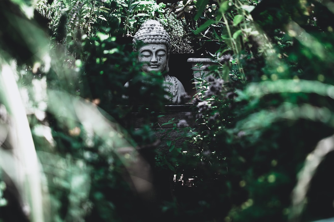 Buddha-Poster mit goldenem Rahmen an Wand.