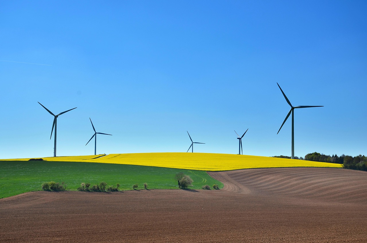 Abgedichtete Fenster für weniger Energieverlust zuhause.