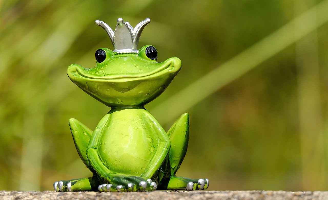 Frosch in einem Teich mit Wasserlilien. Frosch in einem Teich mit Wasserlilien.