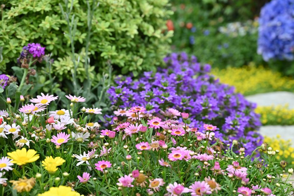 Moderner Garten mit geometrischen Kieswegen gestaltet.