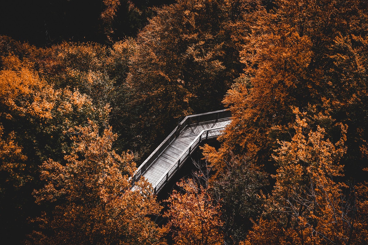 Spiegel in Flur verstärkt warme Herbstbeleuchtung. Spiegel in Flur verstärkt warme Herbstbeleuchtung.